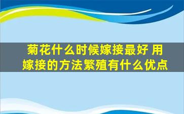 菊花什么时候嫁接最好 用嫁接的方法繁殖有什么优点